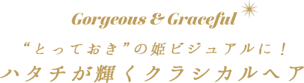 Gorgeous  ＆Graceful “とっておき”の姫ビジュアルに！ハタチが輝くクラシカルヘア