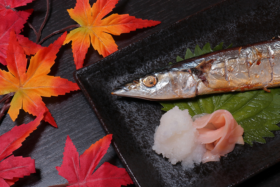 秋刀魚と紅葉