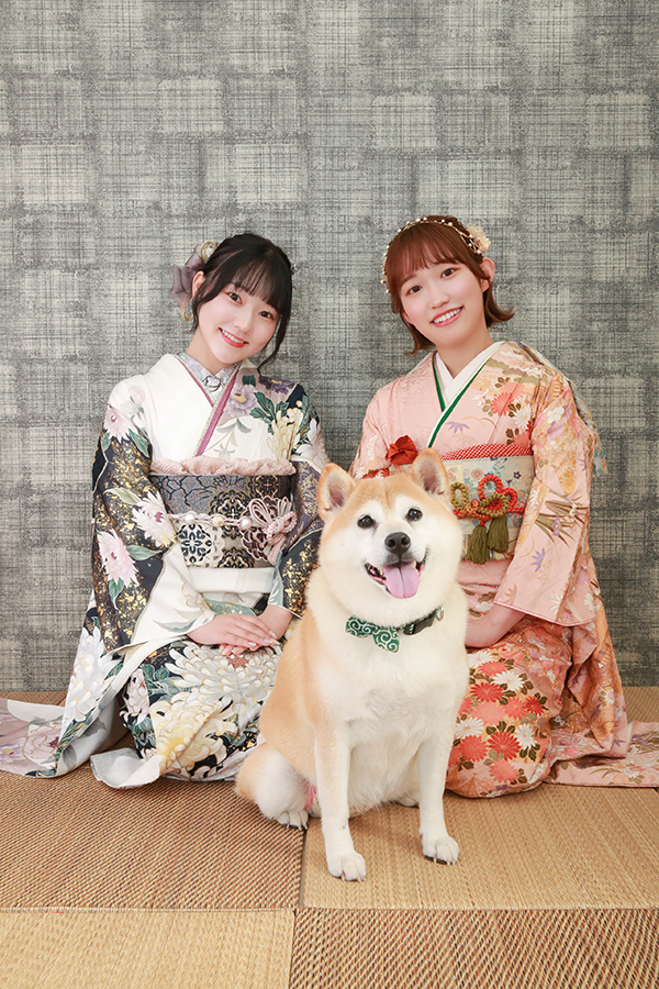 柴犬と姉妹